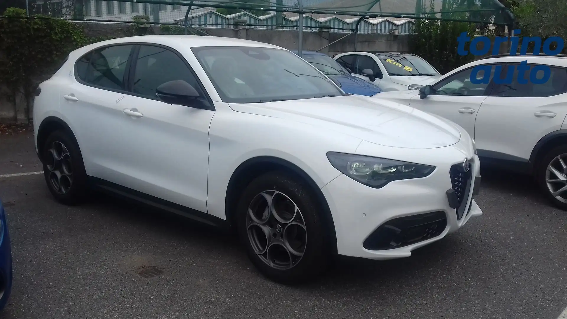 Alfa Romeo Sprint STELVIO Sprint N1 autocarro 5 posti 2.2TurboDiesel 160cv RWD Weiß - 1