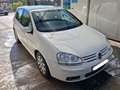Volkswagen Golf Golf 1.6 Highline Highline Blanco - thumbnail 2