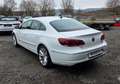 Volkswagen CC Bi-Xenon, Leder, Navi, Panorama, Tempomat, LM-Felg Weiß - thumbnail 7