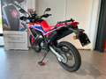 Honda CRF 300 Rally Rouge - thumbnail 6