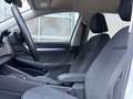 Volkswagen Golf VIII 2.0 TDI Life DSG LED,Virtual,Kamera,LR-Hei... Weiß - thumbnail 11
