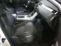 Land Rover Range Rover Evoque 2.0L TD4 Diesel 110kW (150CV) 4x4 Pure Weiß - thumbnail 15
