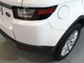 Land Rover Range Rover Evoque 2.0L TD4 Diesel 110kW (150CV) 4x4 Pure Weiß - thumbnail 31