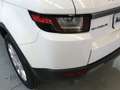 Land Rover Range Rover Evoque 2.0L TD4 Diesel 110kW (150CV) 4x4 Pure Weiß - thumbnail 30