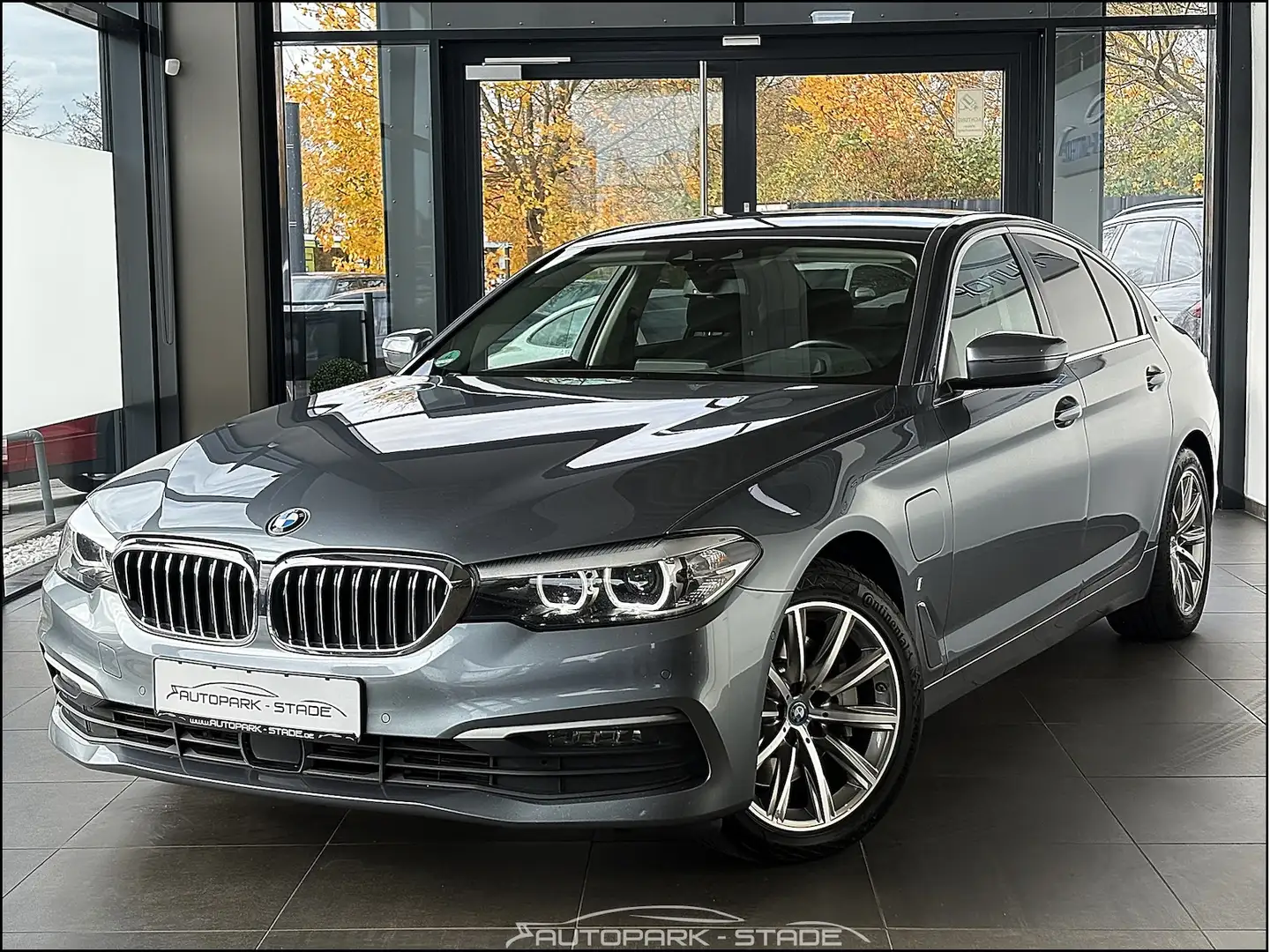 BMW 530 530e Business LED HUD Assist.-Plus Kam Plugin Grau - 2