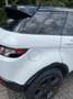 Land Rover Range Rover Evoque SD4 Aut. White Dynamic - thumbnail 7