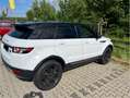 Land Rover Range Rover Evoque SD4 Aut. White Dynamic - thumbnail 9