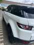 Land Rover Range Rover Evoque SD4 Aut. White Dynamic - thumbnail 4
