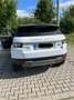 Land Rover Range Rover Evoque SD4 Aut. White Dynamic - thumbnail 11