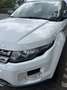 Land Rover Range Rover Evoque SD4 Aut. White Dynamic - thumbnail 3