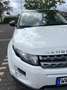 Land Rover Range Rover Evoque SD4 Aut. White Dynamic - thumbnail 5