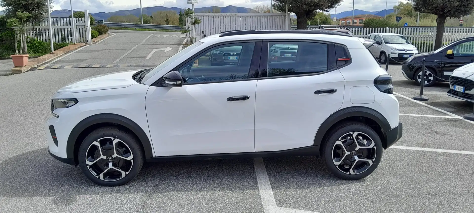 Citroen C3 C3 IV 2024 1.2 hybrid Plus 110cv edcs6 Blanco - 2