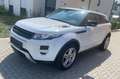 Land Rover Range Rover Evoque Evoque Dynamic SD4 Leder Kamera Bi-Xenon Weiß - thumbnail 10
