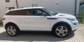 Land Rover Range Rover Evoque Evoque Dynamic SD4 Leder Kamera Bi-Xenon Weiß - thumbnail 8