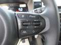 Kia Picanto 1.0 12V 5p Urban GPL - NEW MODEL Blau - thumbnail 13