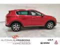 Kia Sportage GT-Line 4WD T-GDI 1.6 AWD Navi Leder PDC Rückfahrk Czerwony - thumbnail 4
