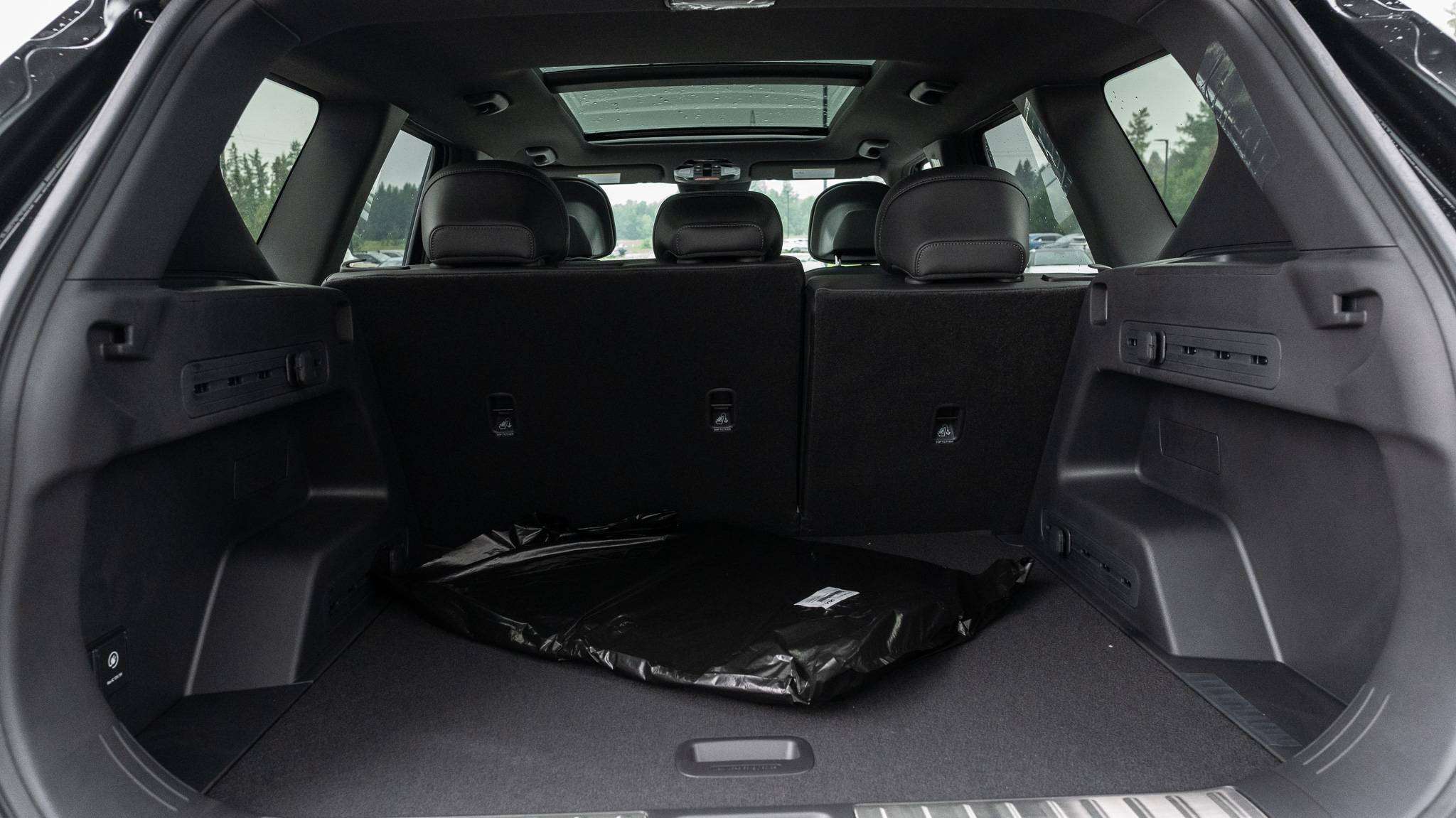 Image 19
