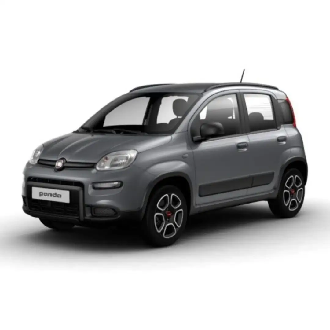 Fiat Panda 1.0 FireFly S&S Hybrid City Life Grigio - 1