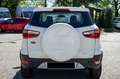 Ford EcoSport 1.0 Ecoboost 125 CV Weiß - thumbnail 6