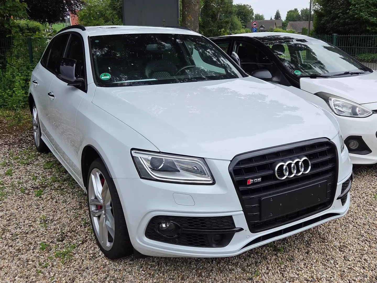 Audi SQ5 SQ5 3.0 TDI quattro tiptronic plus Weiß - 1