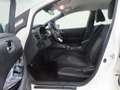 Nissan Leaf Acenta 40 kWh | SOH 87% | Camera | 1e Eigenaar | S Weiß - thumbnail 6