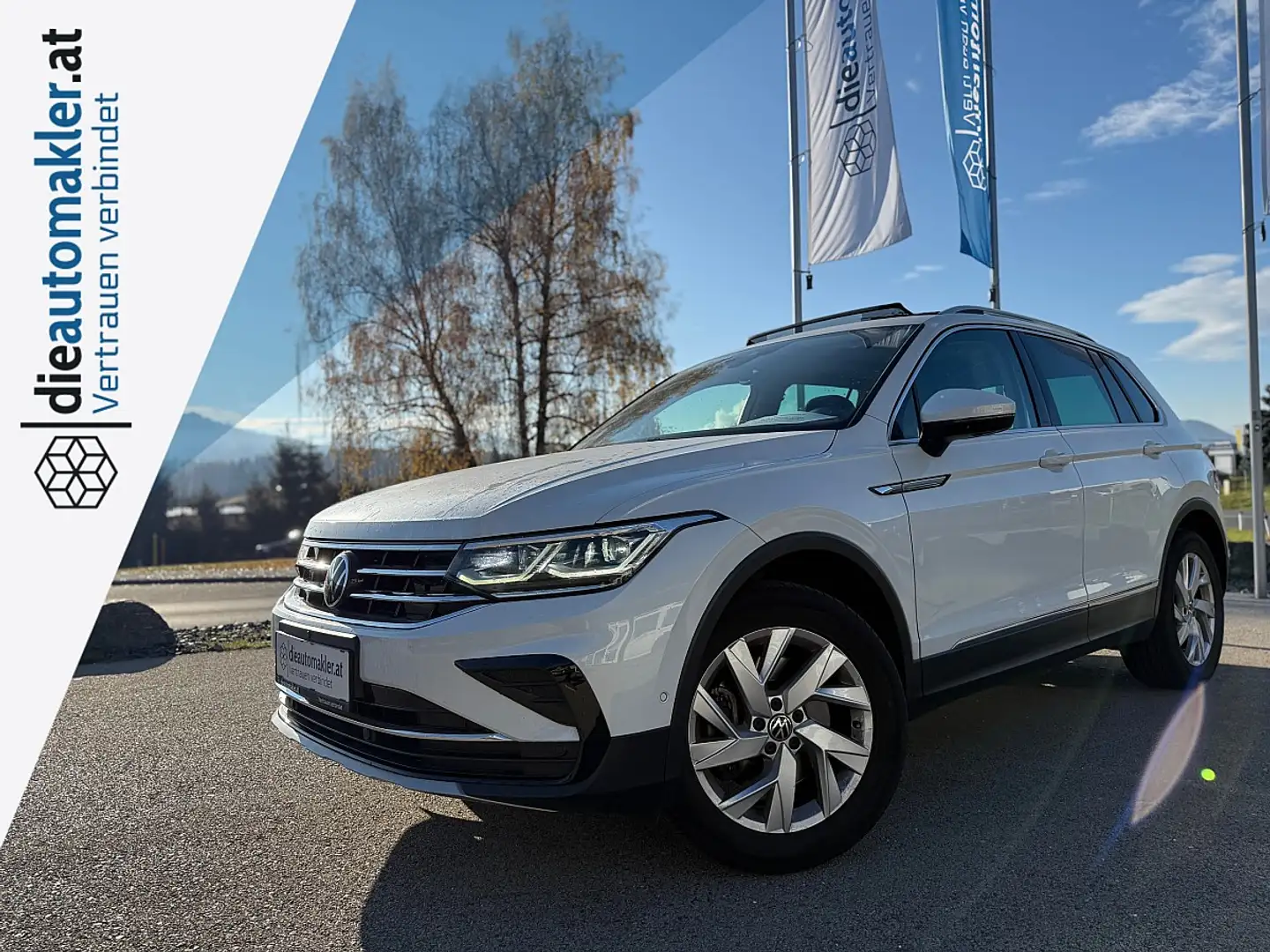 Volkswagen Tiguan 2,0 TDI 4Motion Elegance DSG *PANO*MATRIX*AHK* Weiß - 1