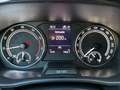 Skoda Fabia Fabia IV 1.0 TSI DSG Tour *LED*PDC*CarPlay*16 Alu Blau - thumbnail 3