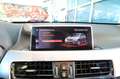 BMW X1 sDrive16d Business Advantage - TELECAMERA/KEYLESS Blau - thumbnail 25