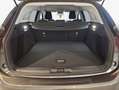 Ford Focus Turnier 1.0 EcoBoost Hybrid Aut. TITANIUM ED Gris - thumbnail 6