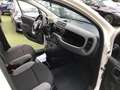 Fiat Panda 1.0 FireFly S&S Hybrid City Life Blanc - thumbnail 8