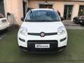 Fiat Panda 1.0 FireFly S&S Hybrid City Life Blanc - thumbnail 2