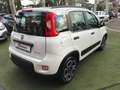 Fiat Panda 1.0 FireFly S&S Hybrid City Life Blanc - thumbnail 4