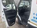 Iveco Daily Daily 33S14 Carrier Kühlkastenwagen Weiß - thumbnail 20
