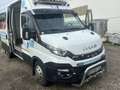 Iveco Daily Daily 33S14 Carrier Kühlkastenwagen Weiß - thumbnail 22