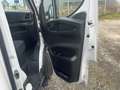 Iveco Daily Daily 33S14 Carrier Kühlkastenwagen Weiß - thumbnail 12