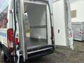 Iveco Daily Daily 33S14 Carrier Kühlkastenwagen Weiß - thumbnail 8