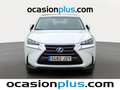 Lexus NX 300 300h Corporate 2WD + Navibox Blanc - thumbnail 13