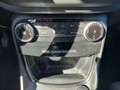 Ford Puma Puma 1.0 EcoBoost Hybrid 125 CV S&S Titanium Gris - thumbnail 13