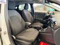 Ford Puma 1.0 ecoboost h Titanium X 125cv Bianco - thumbnail 11