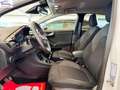 Ford Puma 1.0 ecoboost h Titanium X 125cv Bianco - thumbnail 9