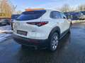 Mazda CX-30 e-Skyactive 2,5 G140 Exclusive-Line LAGER-AKTION Weiß - thumbnail 8