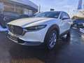 Mazda CX-30 e-Skyactive 2,5 G140 Exclusive-Line LAGER-AKTION Weiß - thumbnail 1