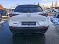 Mazda CX-30 e-Skyactive 2,5 G140 Exclusive-Line LAGER-AKTION Weiß - thumbnail 9
