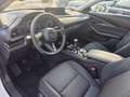 Mazda CX-30 e-Skyactive 2,5 G140 Exclusive-Line LAGER-AKTION Weiß - thumbnail 2