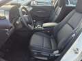 Mazda CX-30 e-Skyactive 2,5 G140 Exclusive-Line LAGER-AKTION Weiß - thumbnail 16