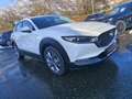 Mazda CX-30 e-Skyactive 2,5 G140 Exclusive-Line LAGER-AKTION Weiß - thumbnail 3