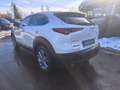 Mazda CX-30 e-Skyactive 2,5 G140 Exclusive-Line LAGER-AKTION Weiß - thumbnail 7