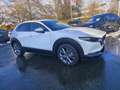Mazda CX-30 e-Skyactive 2,5 G140 Exclusive-Line LAGER-AKTION Weiß - thumbnail 4