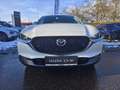 Mazda CX-30 e-Skyactive 2,5 G140 Exclusive-Line LAGER-AKTION Weiß - thumbnail 6