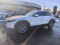Mazda CX-30 e-Skyactive 2,5 G140 Exclusive-Line LAGER-AKTION Weiß - thumbnail 5